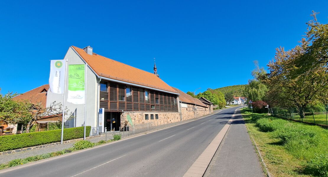 die-rhoner-flimmerkiste