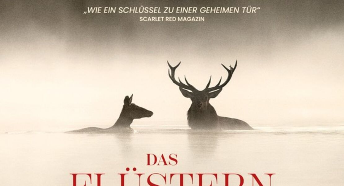 das-flustern-der-walder