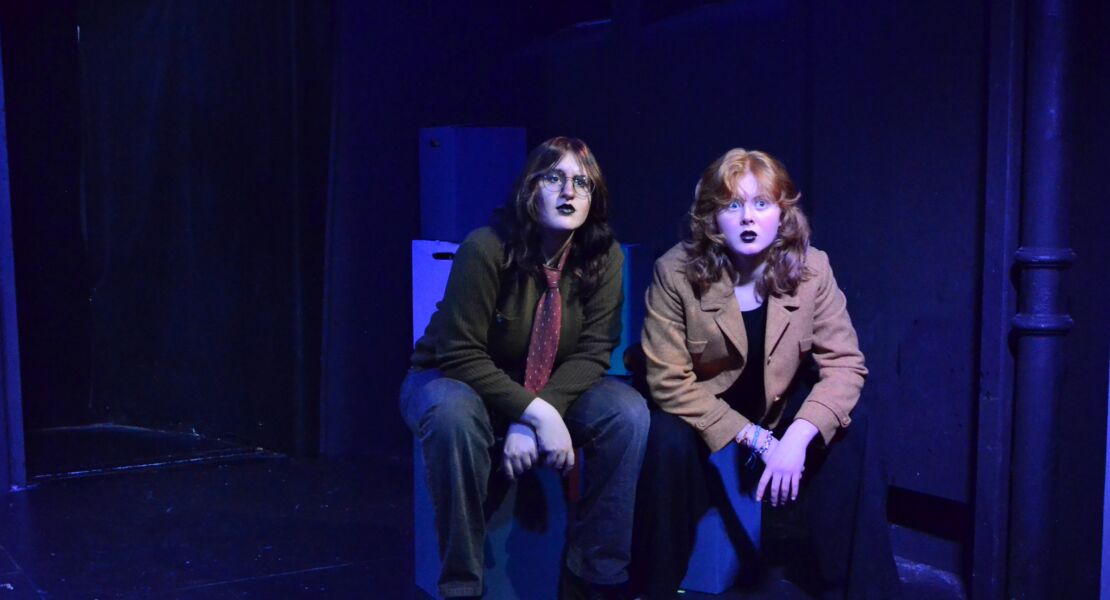 was-das-nashorn-sah-als-es-auf-die-andere-seite-des-zauns-schaute