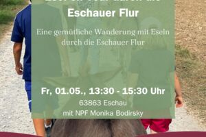Esel on Tour durch die Eschauer Flur
