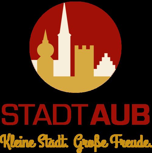 sitzung-des-stadtrates