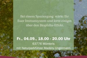 Shinrinyoku – Waldbaden
