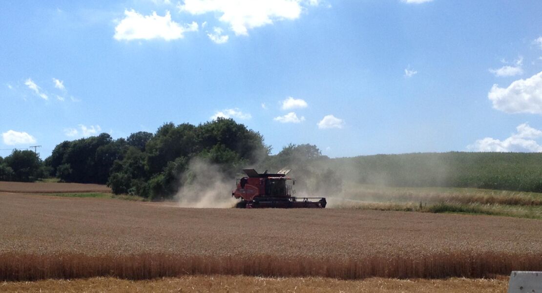 gemeinsam-die-zukunft-unserer-ernahrung-gestalten