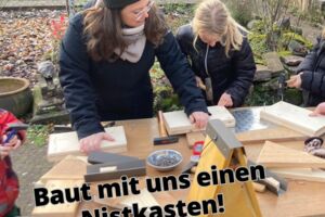 Familienaktion - Ein Zuhause für Vögel - Baut mit uns einen Nistkasten!