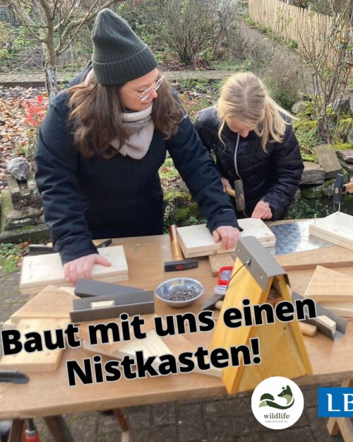 familienaktion-ein-zuhause-fur-vogel-baut-mit-uns-einen-nistkasten