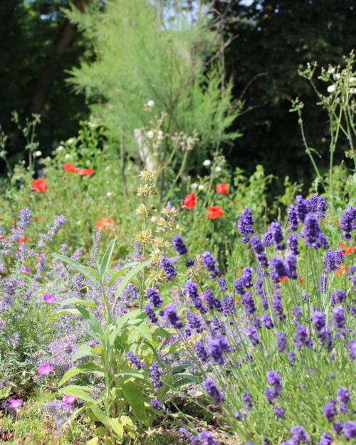 vielfalt-vor-unserer-haustur-mit-allen-sinnen-geniessen