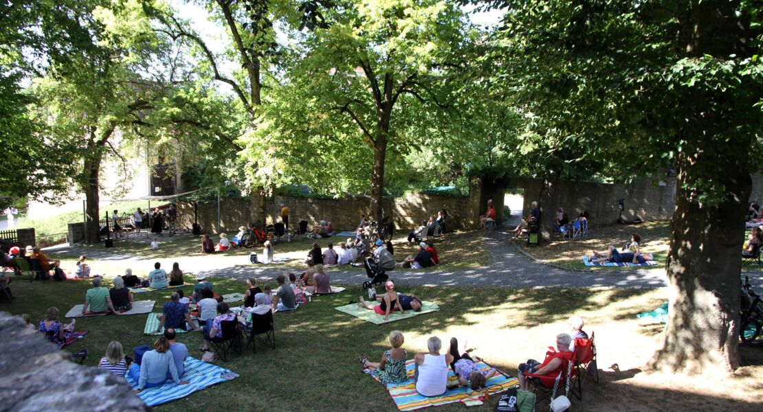 picknick-unter-dem-sternenhimmel-im-hofmannshain-ein-magischer-sommerabend