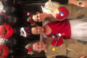 SteFaNa Faschingsball Marktsteft