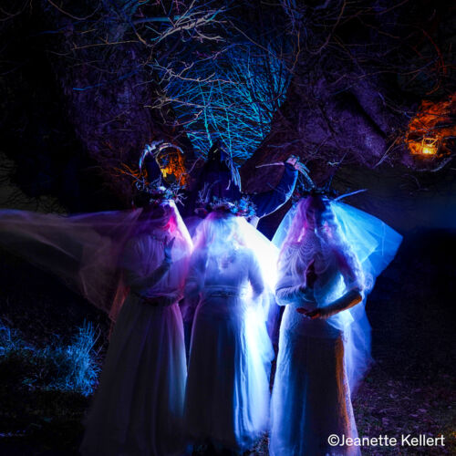 tanzvilla-creglingen