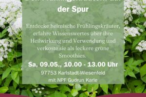 Den Frühlingskräutern auf der Spur