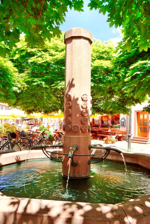offene-stadtfuhrung-fur-gaste-und-burger