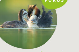 Ausstellung: Natur im Fokus