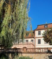 NachtMärktle 2.0 im Schlossgarten Hammelburg