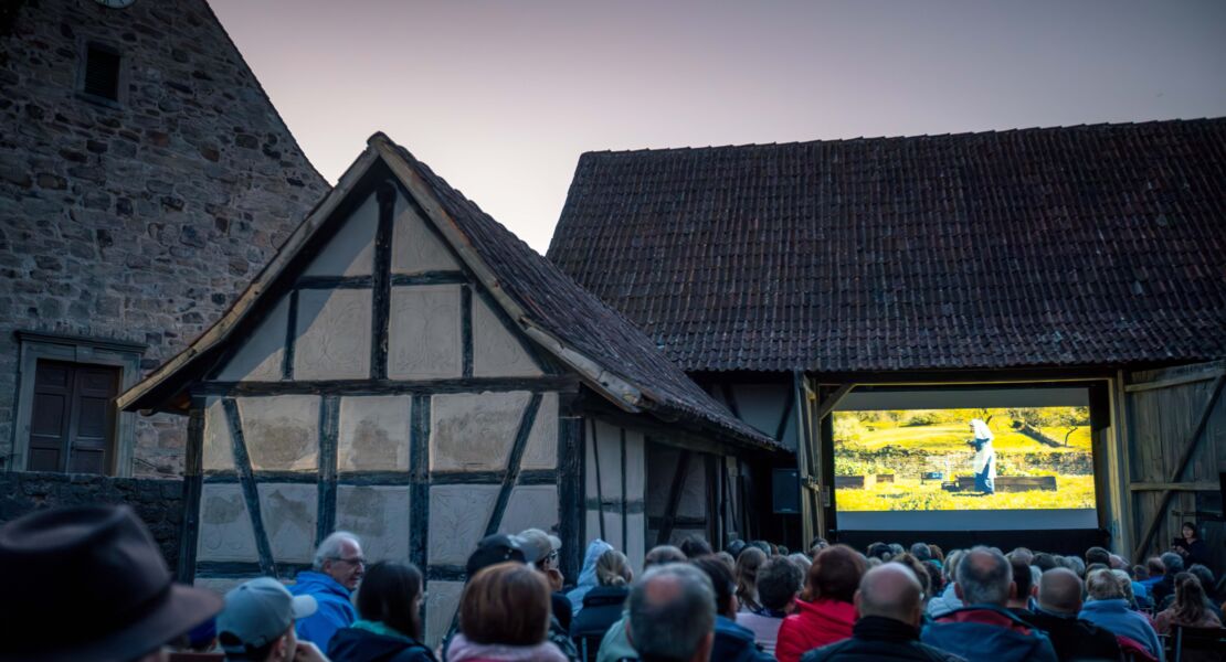 ganz-grosses-freilandkino