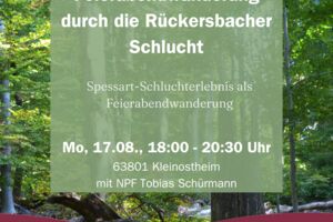 Feierabendwanderung durch die Rückersbacher Schlucht