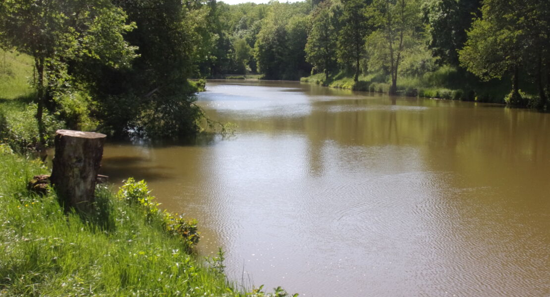 hamicher-banklesweg-rund-um-hambach