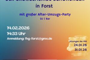 Faschingsumzug der Großgemeinde Schonungen