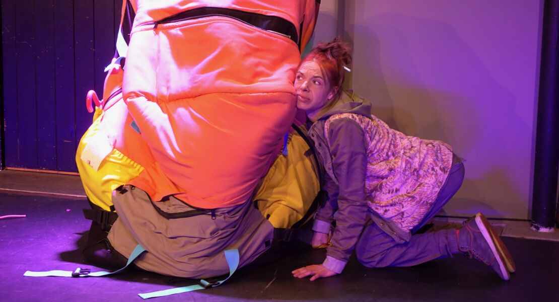 wie-der-wahnsinn-mir-die-welt-erklarte