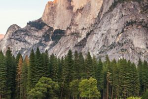 Kleine Naturdetektive unterwegs – Jahreszeiten-Abenteuer für Kinder