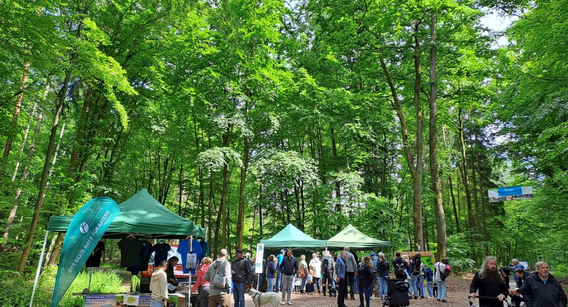 waldtag-2026-wald-und-wiesenschatze