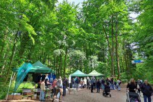 Waldtag 2026 – “Wald- und Wiesenschätze”