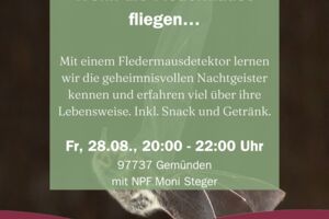 Wenn die Fledermäuse fliegen…