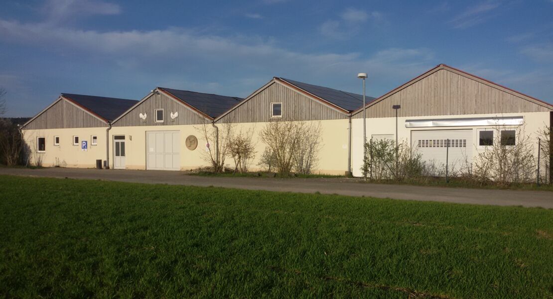 tauben-und-kleintiermarkt