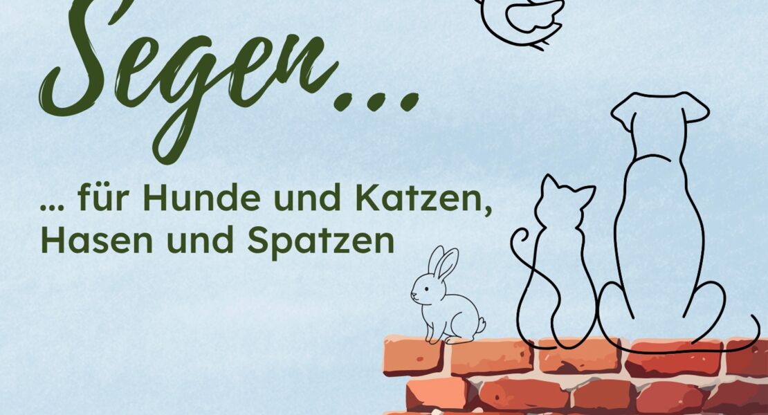 wird-verschoben-segen-fur-hunde-und-katzen-hasen-und-spatzen