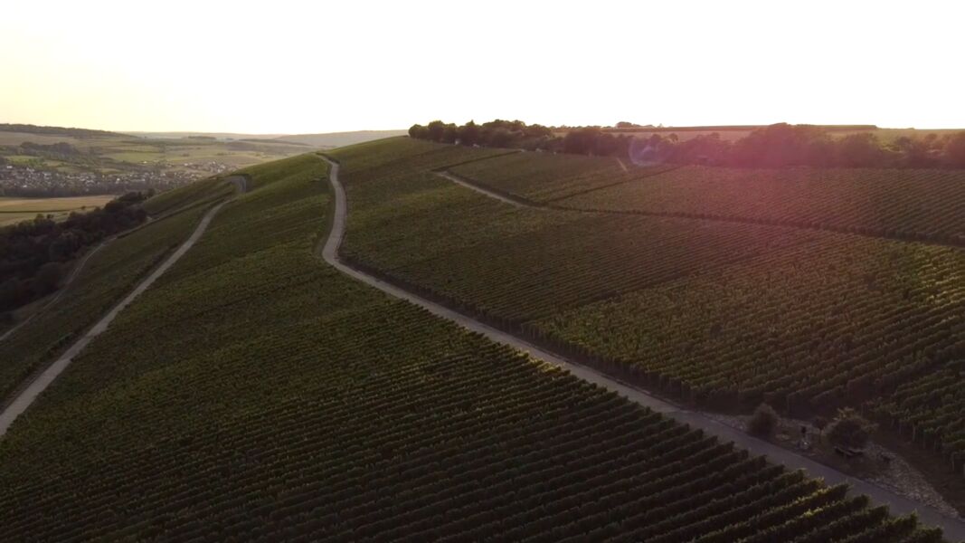weinwanderung-im-sonnenuntergang