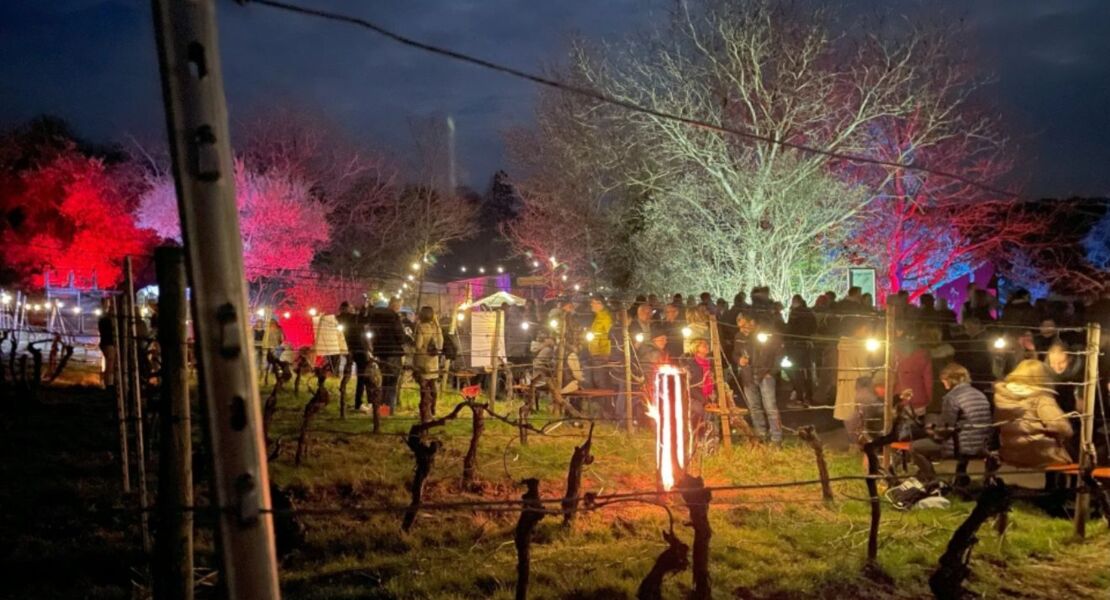 weinbergsleuchten-randersacker