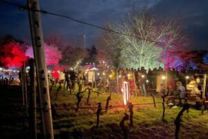 Weinbergsleuchten Randersacker