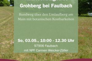 Naturschutzgebiet Grohberg bei Faulbach