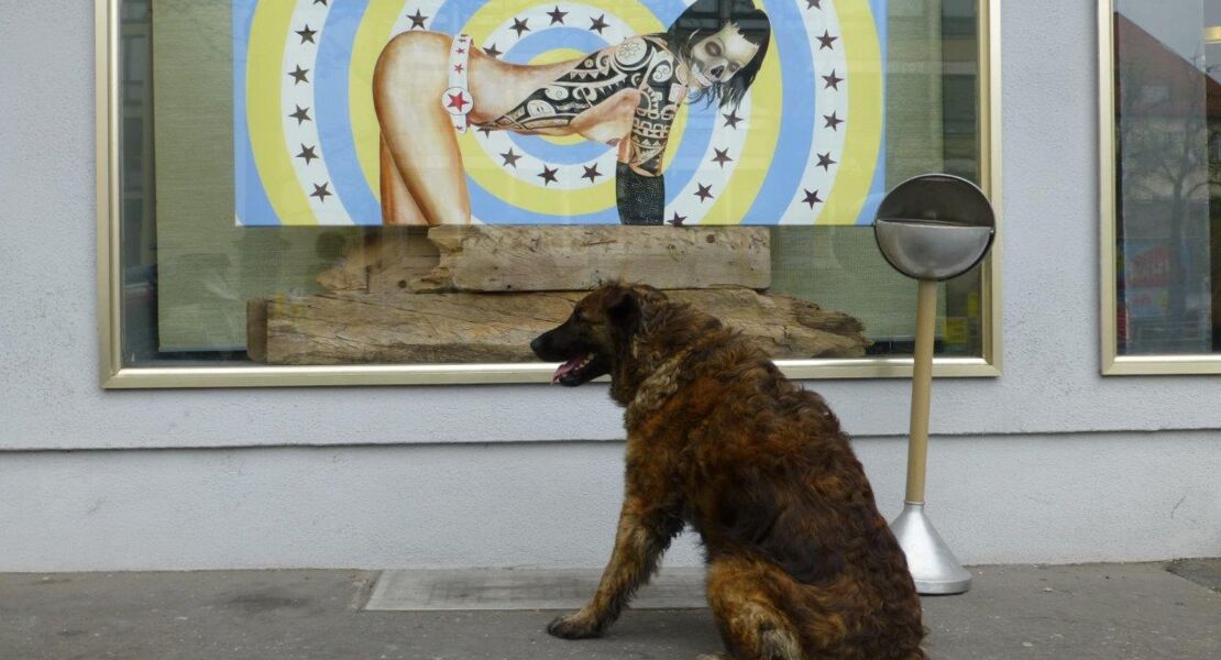 wurzburger-werden-50-jahre-strassenfotografie