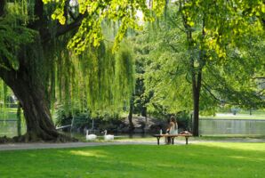 Botanische Führung durch den Ringpark, Teil Hauger Glacis