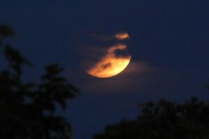 Beobachtung der Mondfinsternis