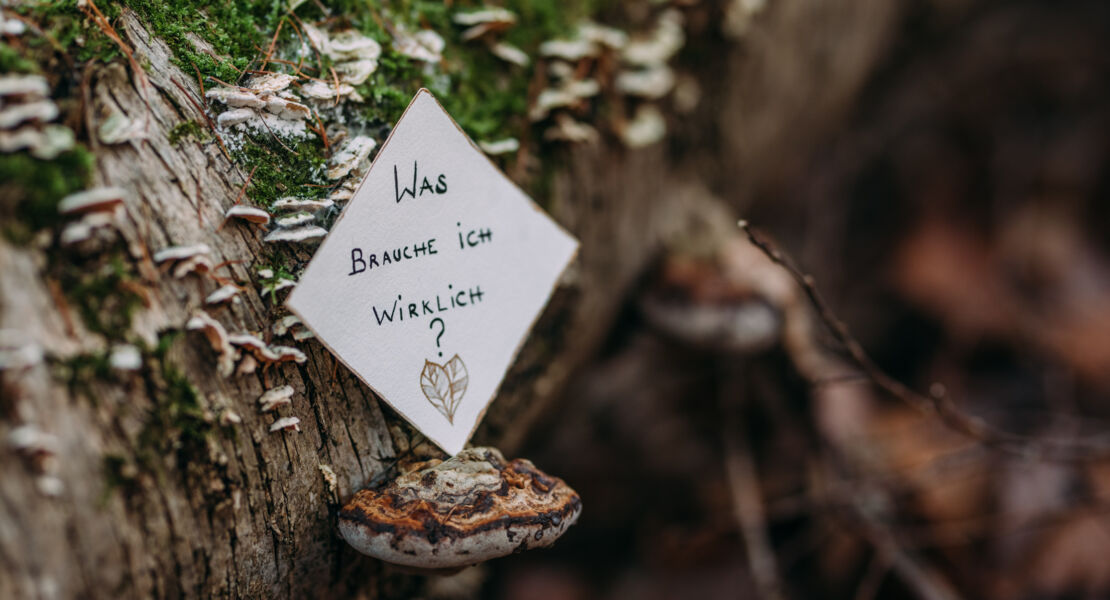 kraft-schopfen-aus-dem-wald-entspannung-fur-mamas