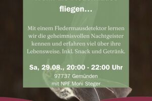 Wenn die Fledermäuse fliegen…