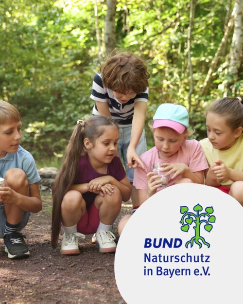 unterwegs-mit-dem-gruffelo-fur-familien-mit-kindern-ab-4-jahren