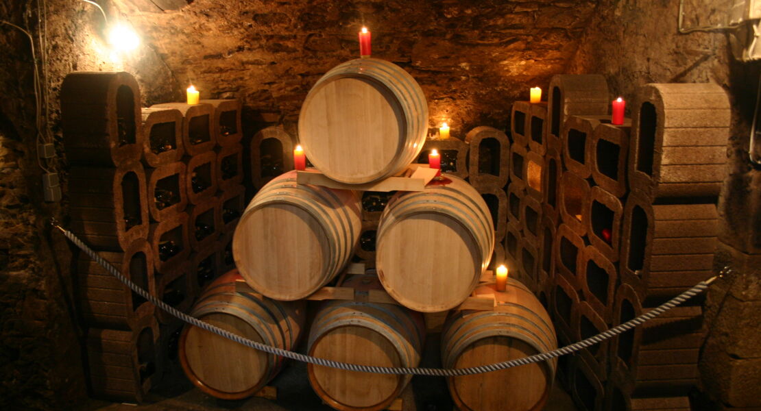 weinprobe-im-historischen-gewolbekeller-im-schloss