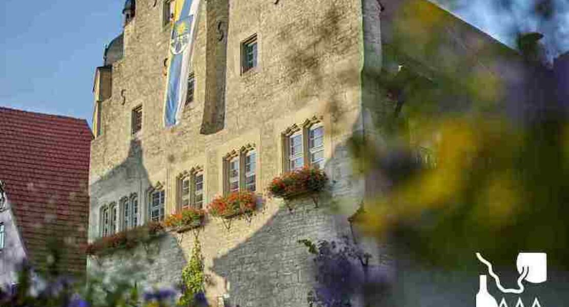 erlebnisse-im-maindreieck-mehr-entdecken-mehr-erleben-gastefuhrung-durch-sommerhausen