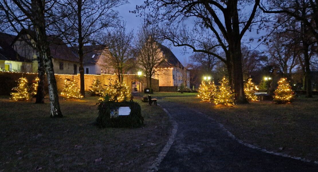 eroffnung-des-zauberwalds