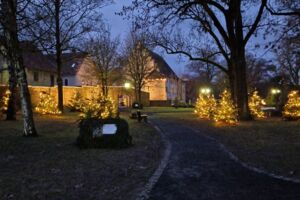 Eröffnung des Zauberwalds