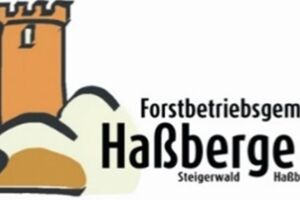 Waldpflege und Durchforstung – klimastabiler Waldumbau