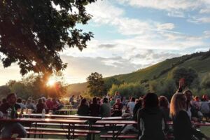 Uferweinfest Randersacker