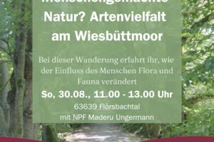 Menschengemachte Natur? Artenvielfalt am Wiesbüttmoor