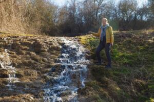 Frühling an Wasser und Wiese