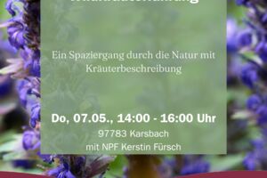 Wildkräuterführung