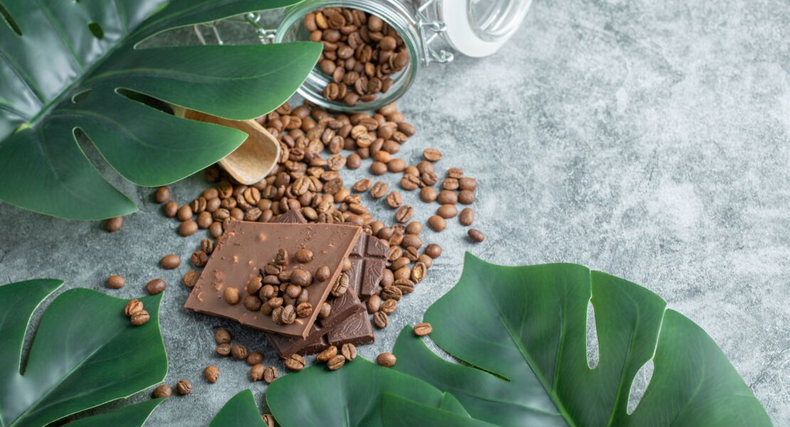 vielfalter-nachmittag-schoko-schoko-workshop