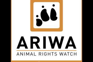 ARIWA Würzburg: Die 