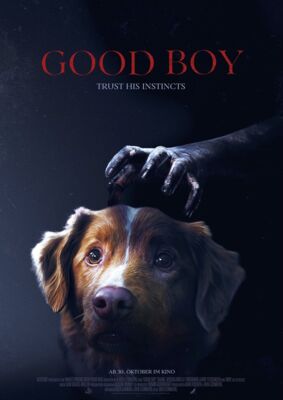 good-boy-trust-his-instincts